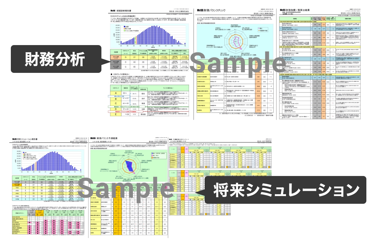 経営診断システムやCRDを活用した財務分析と
将来シミュレーション