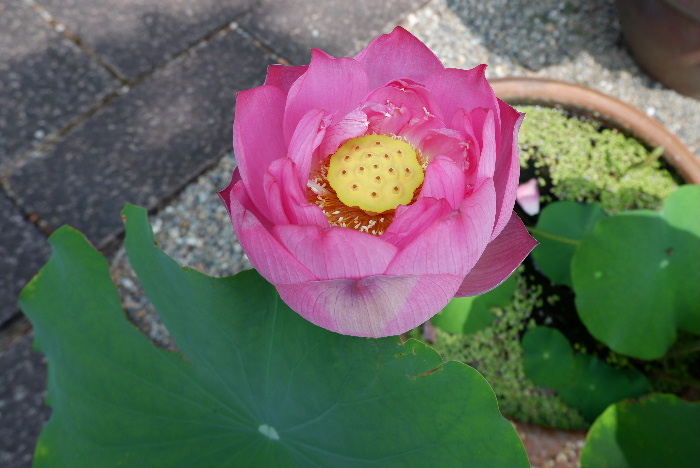 相談しやすく、安心して任せることができました